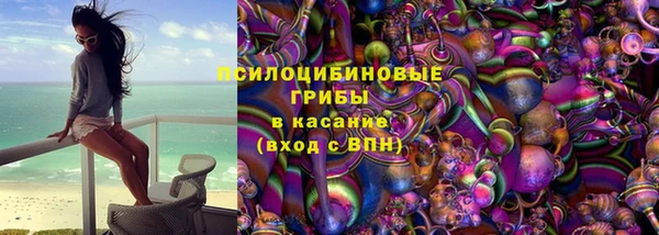 mdma Ельня