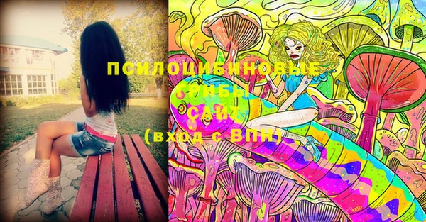 mdma Ельня