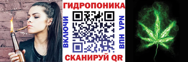 Купить закладки  Ивантеевка  Канабис Amnesia 